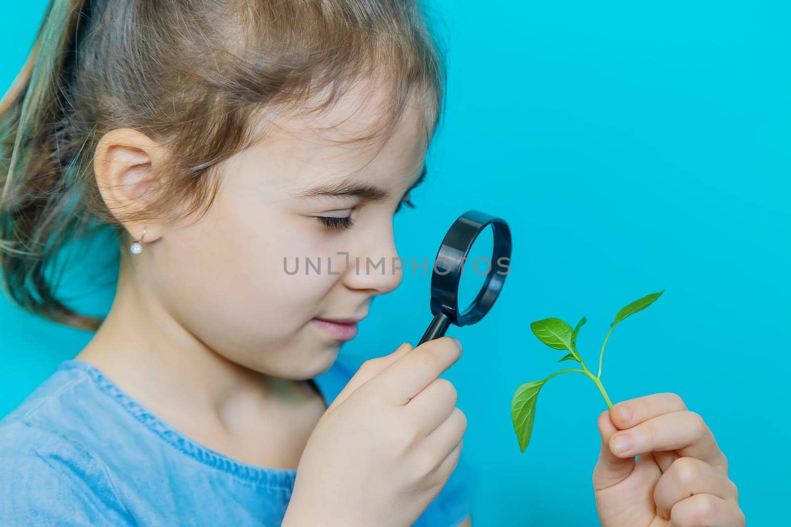 The child examines the plant with a magnifying glass. Selective focus. by yanadjana