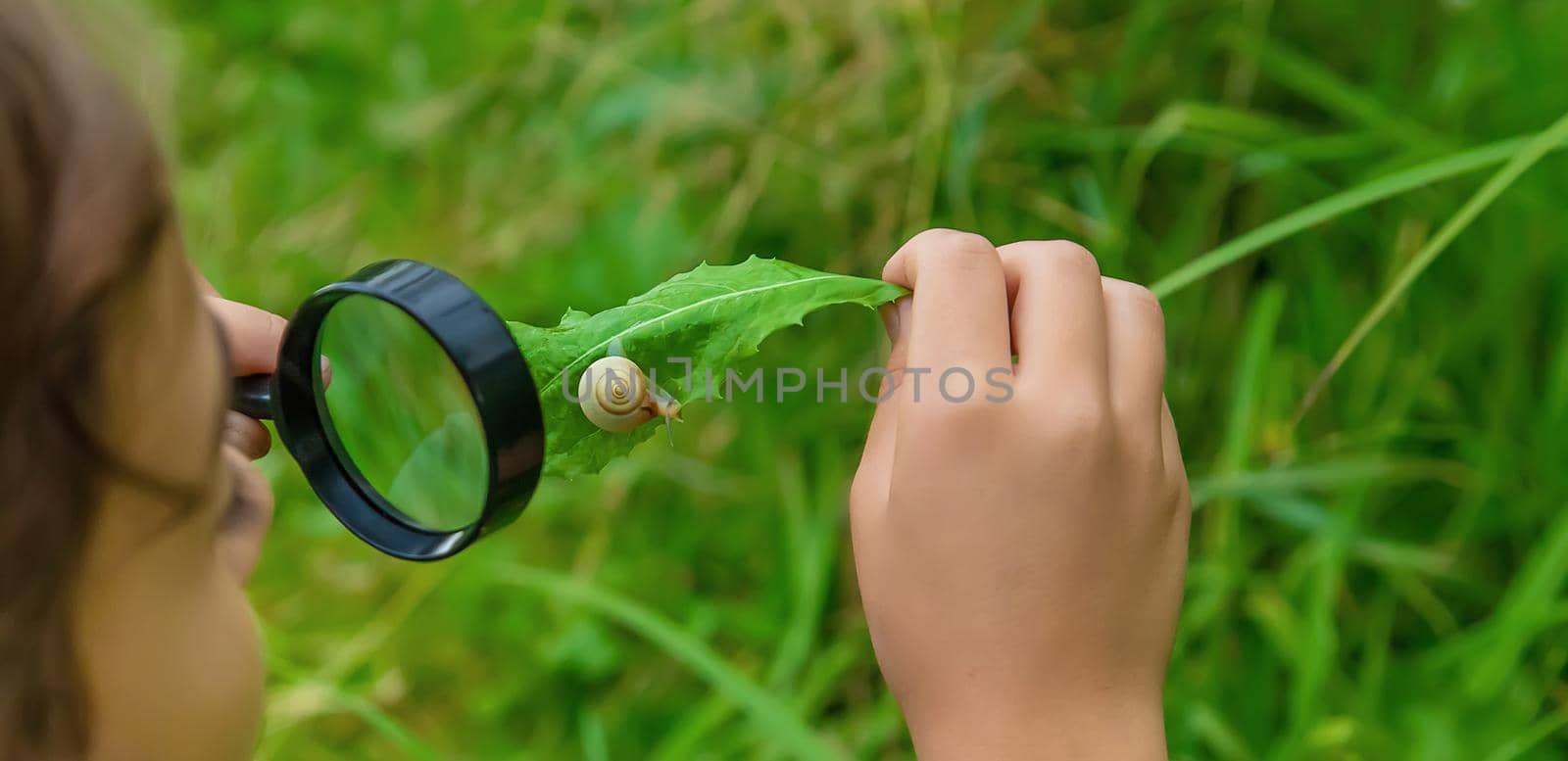 The child looks at the snail through a magnifying glass. Selective focus. Nature.