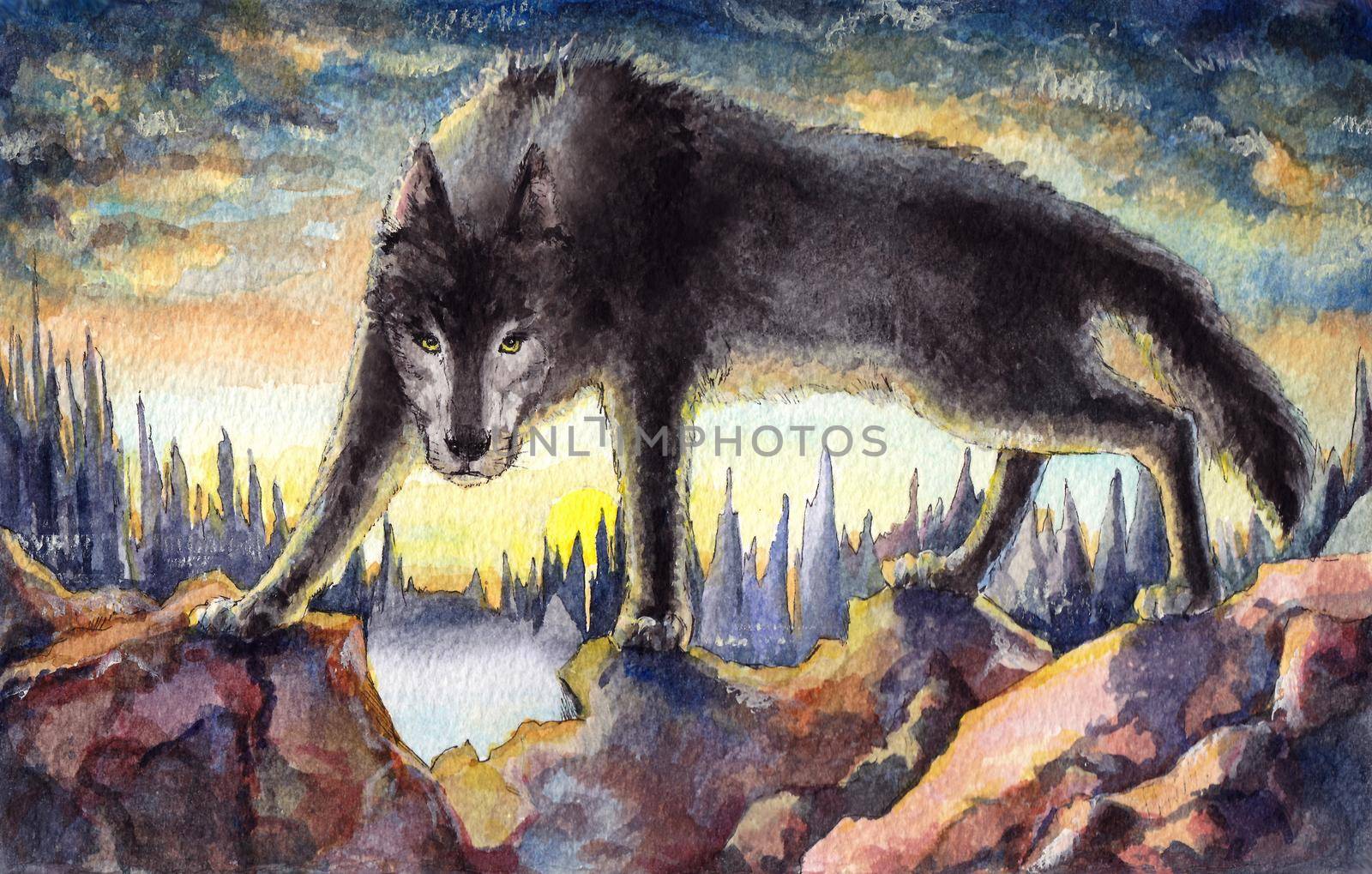 Aggressive black wolf watercolor painting, fantasy illustration