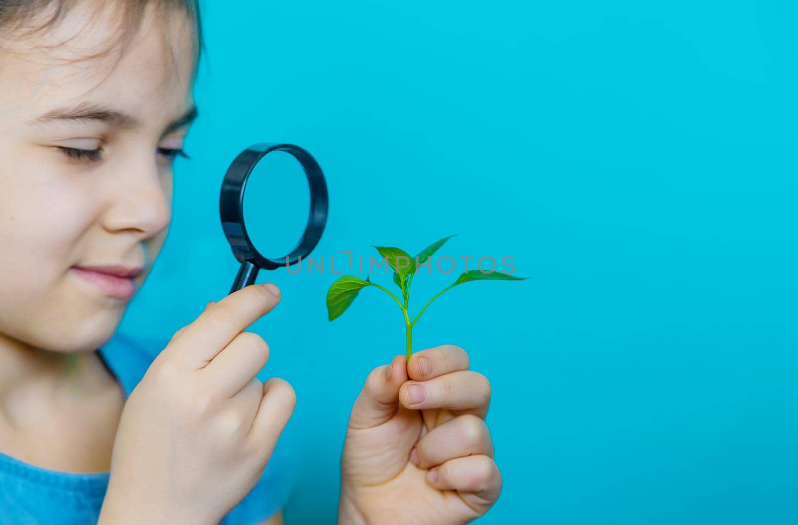 The child examines the plant with a magnifying glass. Selective focus. by yanadjana