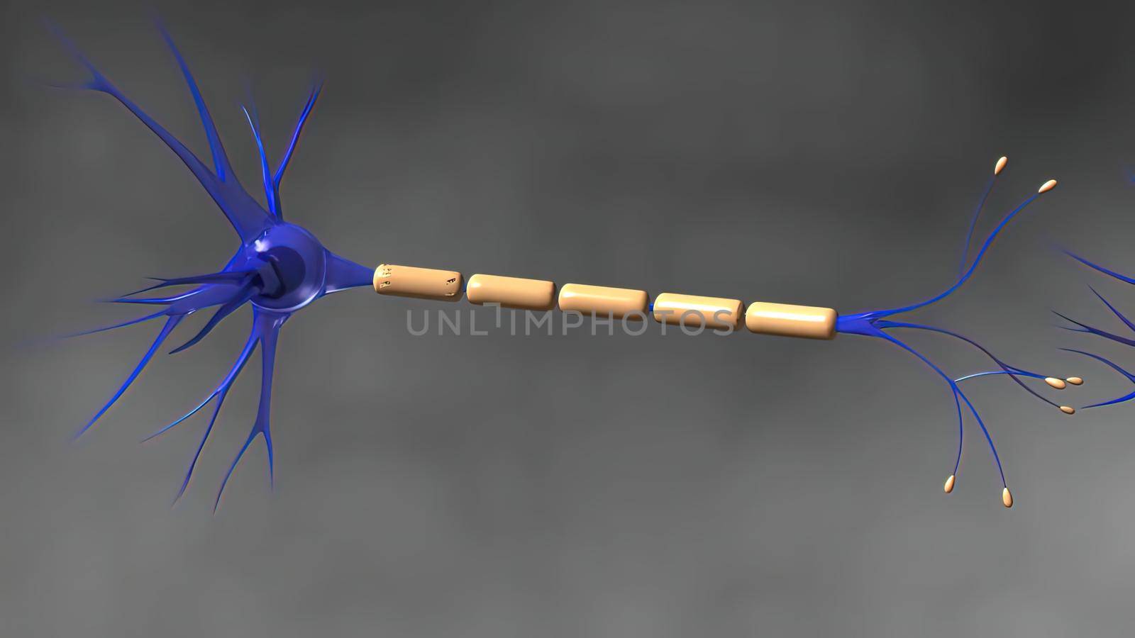 A Neuron Releasing Neurotransmitter Molecules by creativepic