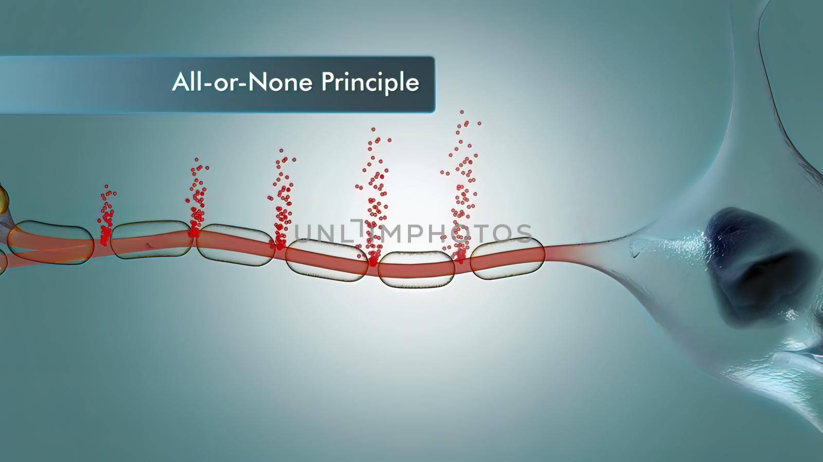 Neuron and synapses 3d medical illustration. Neurogenesis, remyelination, myelin, schwann cells,
