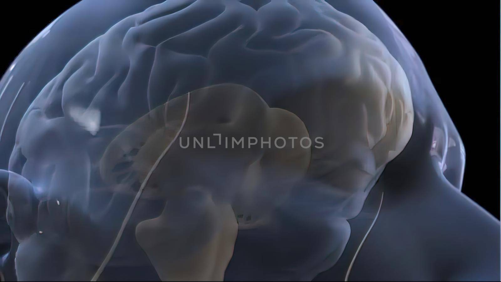 Neurons Transmit Messages In The Brain. Neurons are the cells that pass chemical and electrical signals along the pathways in the brain. 3d illustration