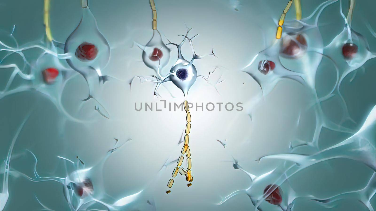 Motor Neuron and Muscle Relationships by creativepic