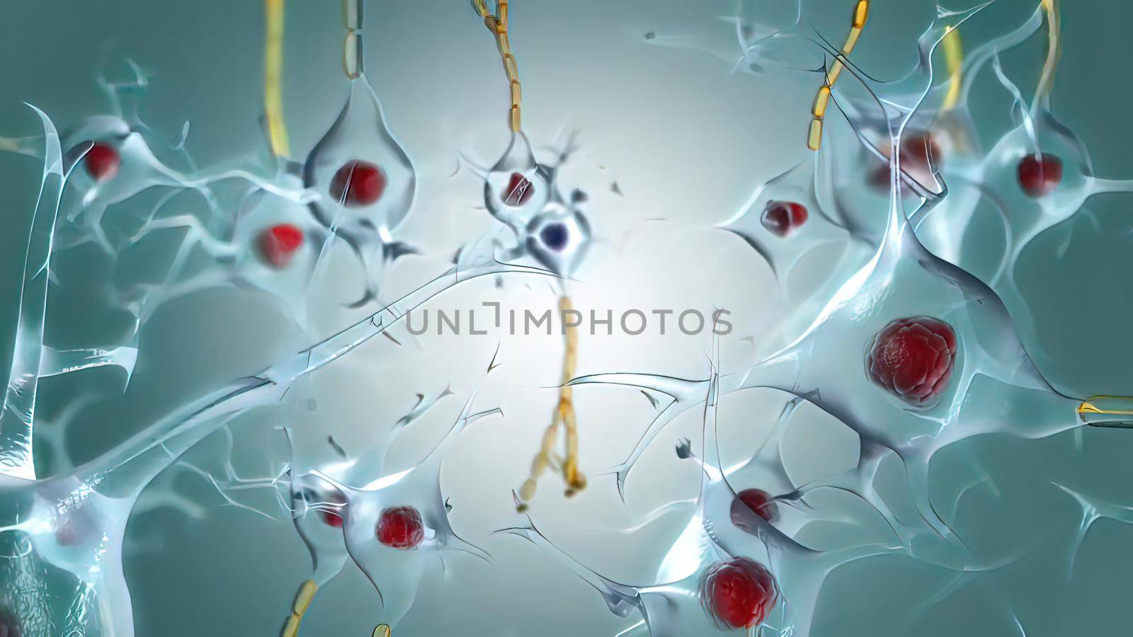 By injecting into muscle groups visible tracers that are transported by the axons of the lower motor neurons back to their cell bodies 3d illustration