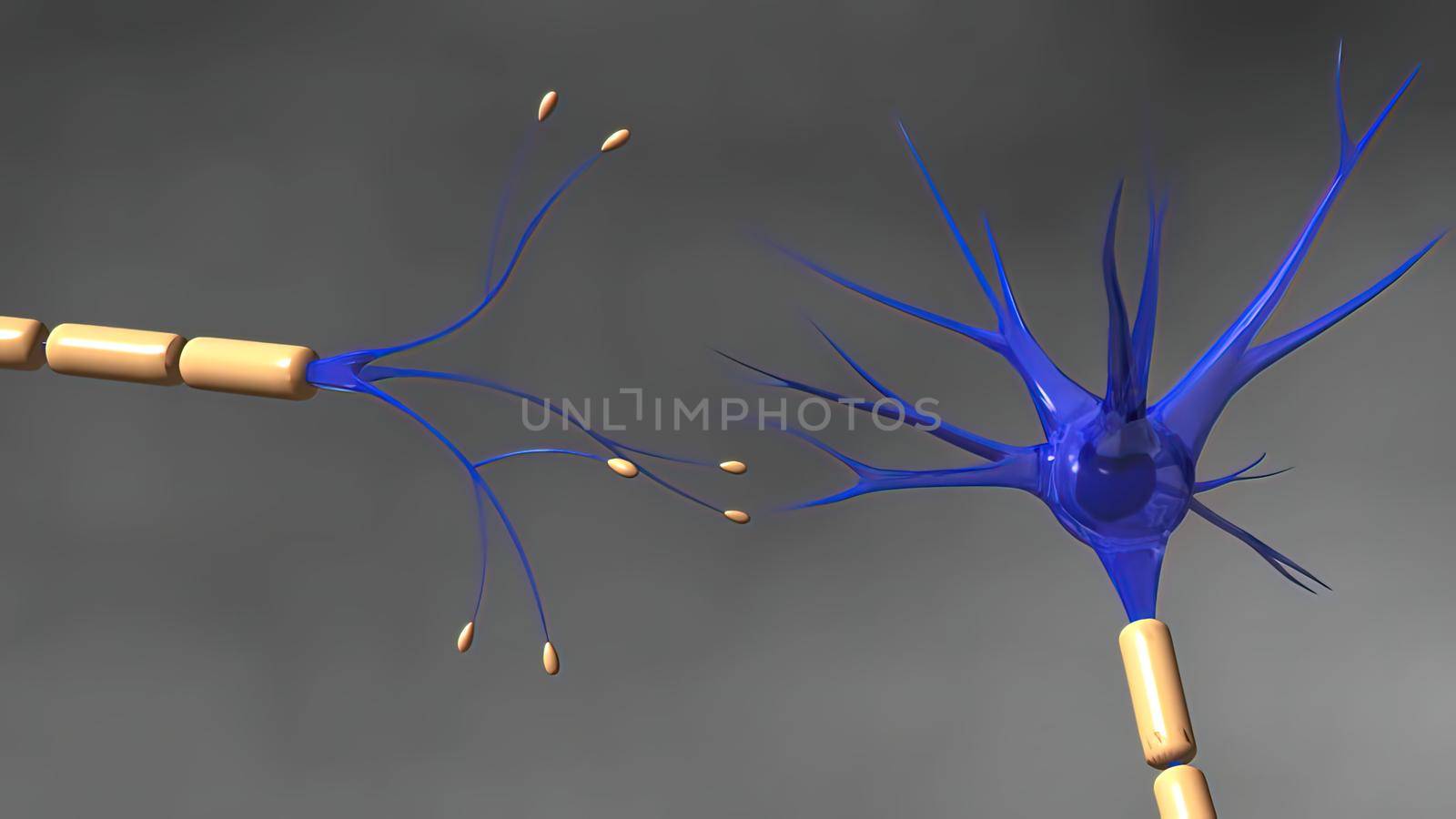 The human brain Neuron Neurons in action. electrical impulses by creativepic