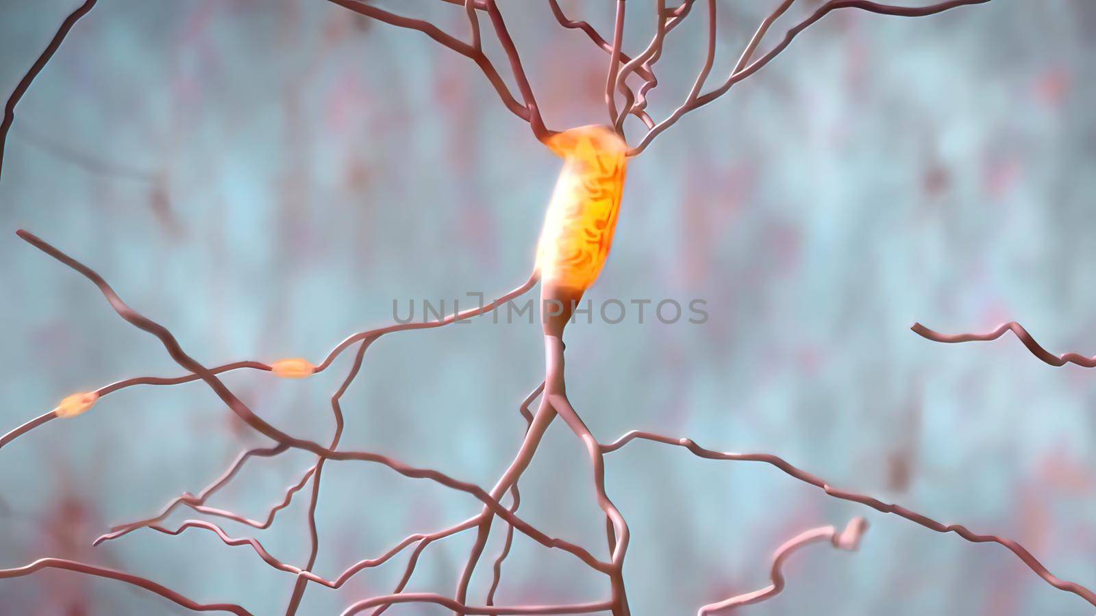 Neurotransmitters are chemical messengers in the body by creativepic