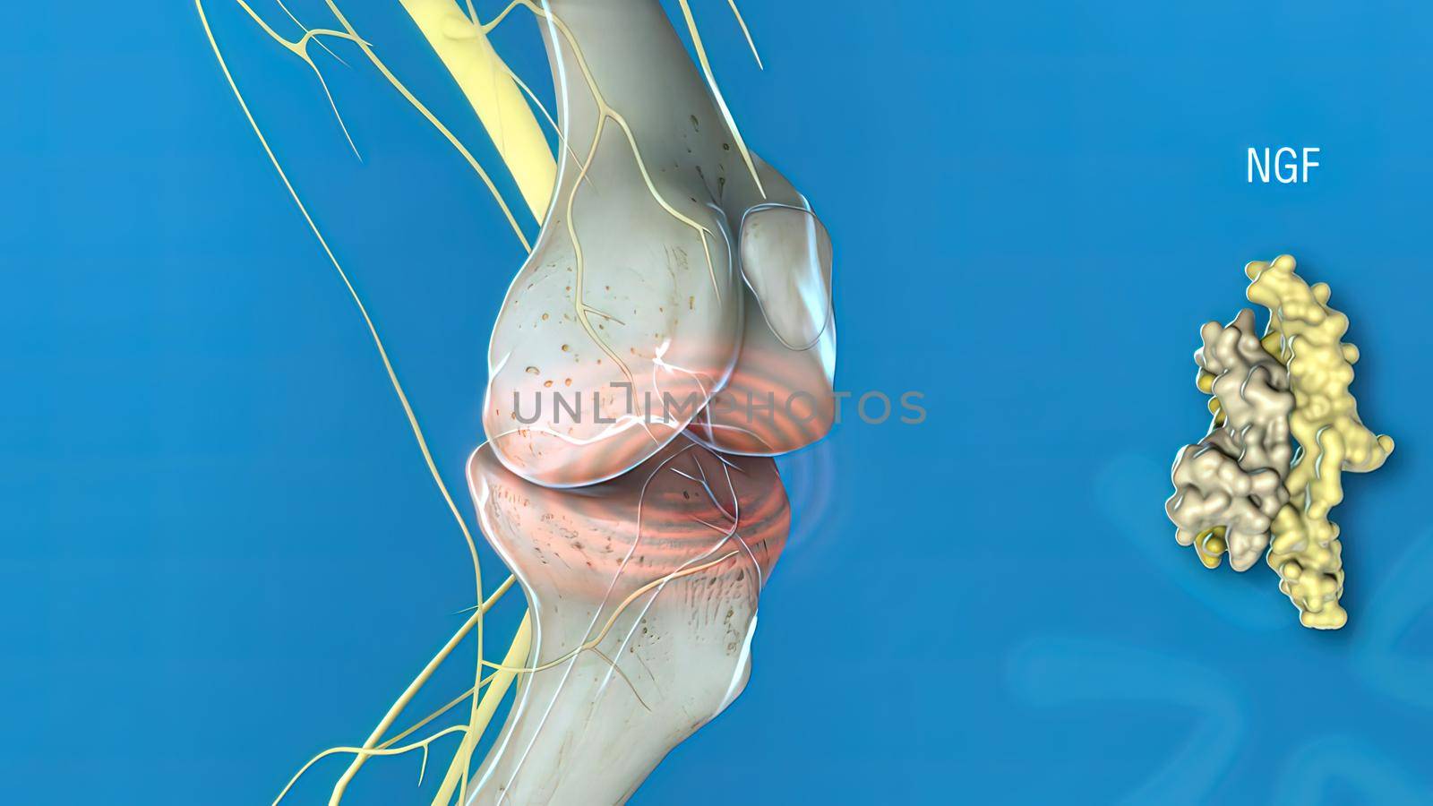 Ngf - Nerve Growth Factor 3d medical 3d illustration