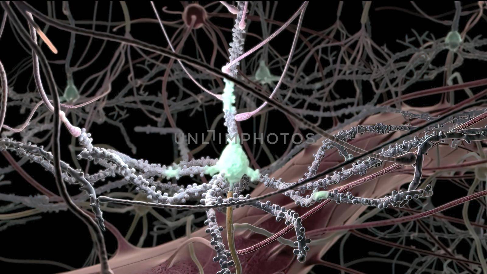 Neurotransmitters are chemical messengers in the body 3d illustration