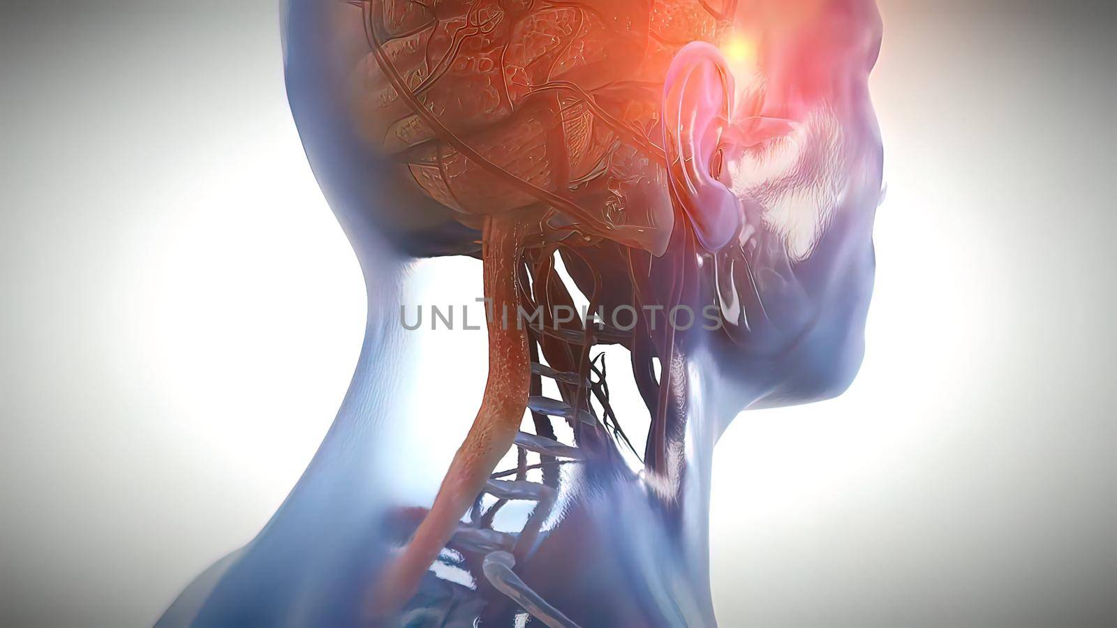 Neurons in action. electrical impulses between neuronal connections 3d illustration