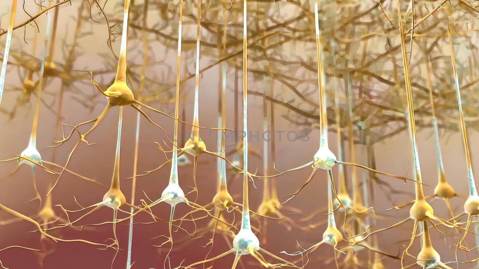 Neuron and synapses 3d , medical illustration.