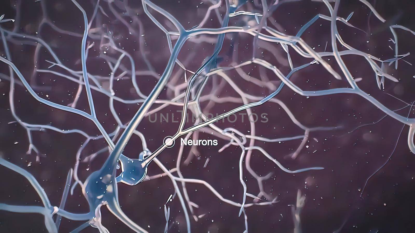 The human brain Neuron Neurons in action. electrical impulses between neuronal connections 3d illustration