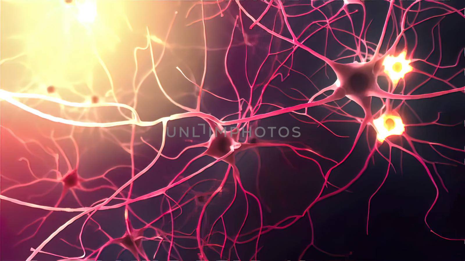 Neurons, Neural Connections, Signal Transmission by creativepic