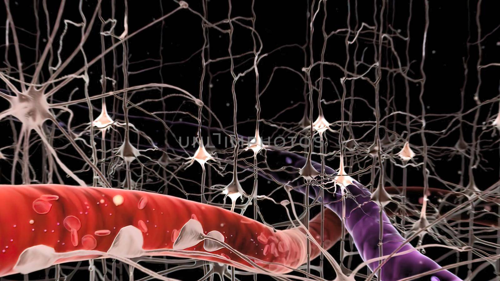 Neuron and synapses 3d , medical illustration.