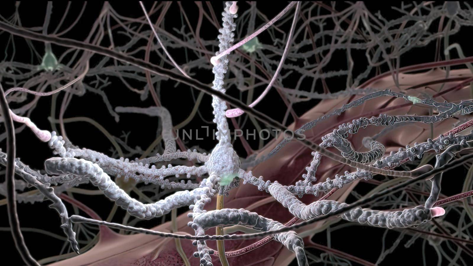 Neurotransmitters are chemical messengers in the body 3d illustration