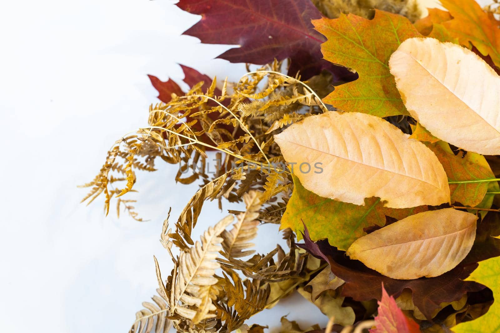 dried autumn leaves bouquet on white background, flat lay, top view.