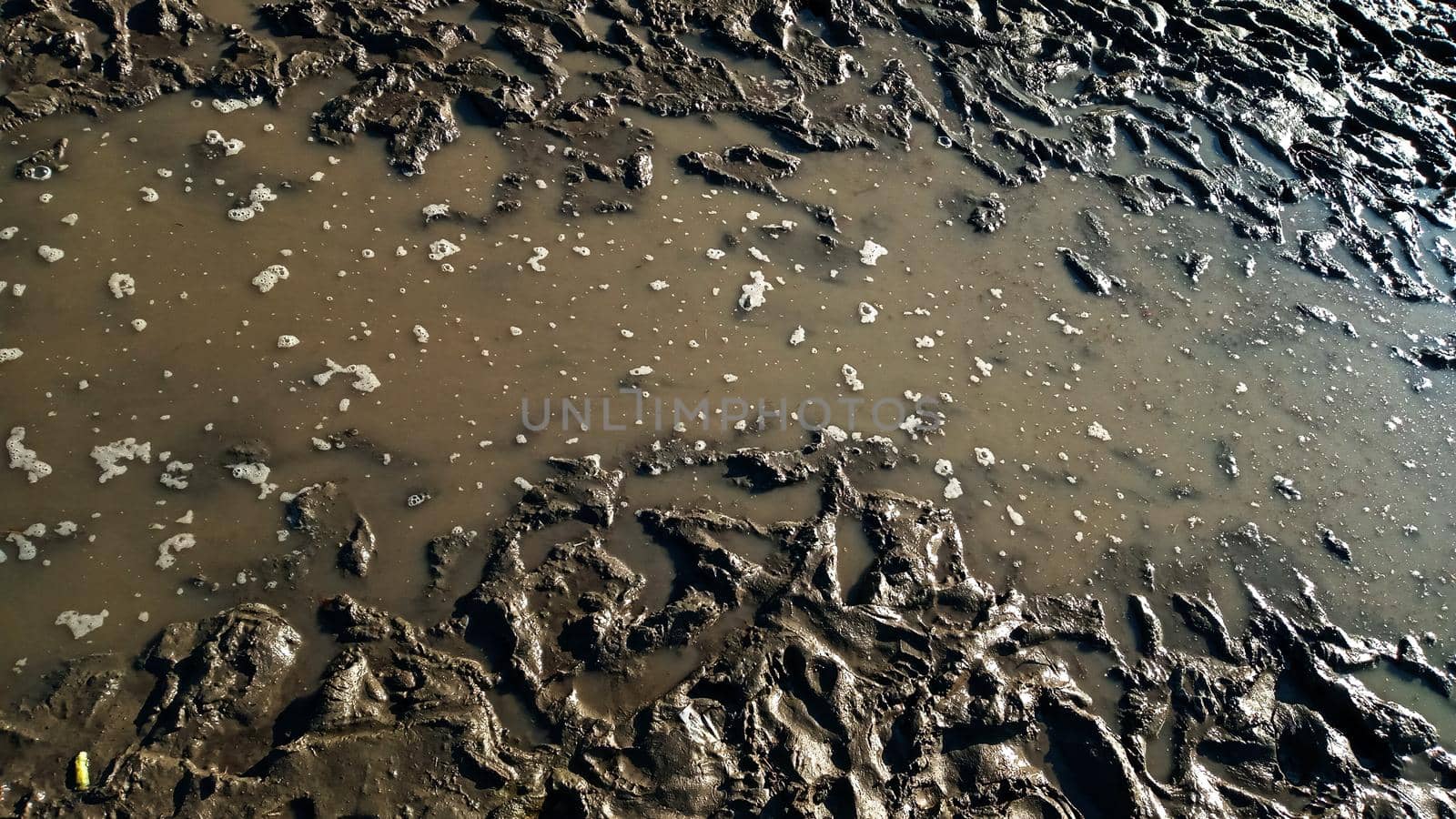 Footprint or imprint shoe in the mud.Mud texture or wet brown soil as natural organic clay and geological sediment mixture as in roughing it in a dirty muddy country ground after the rain or rainy