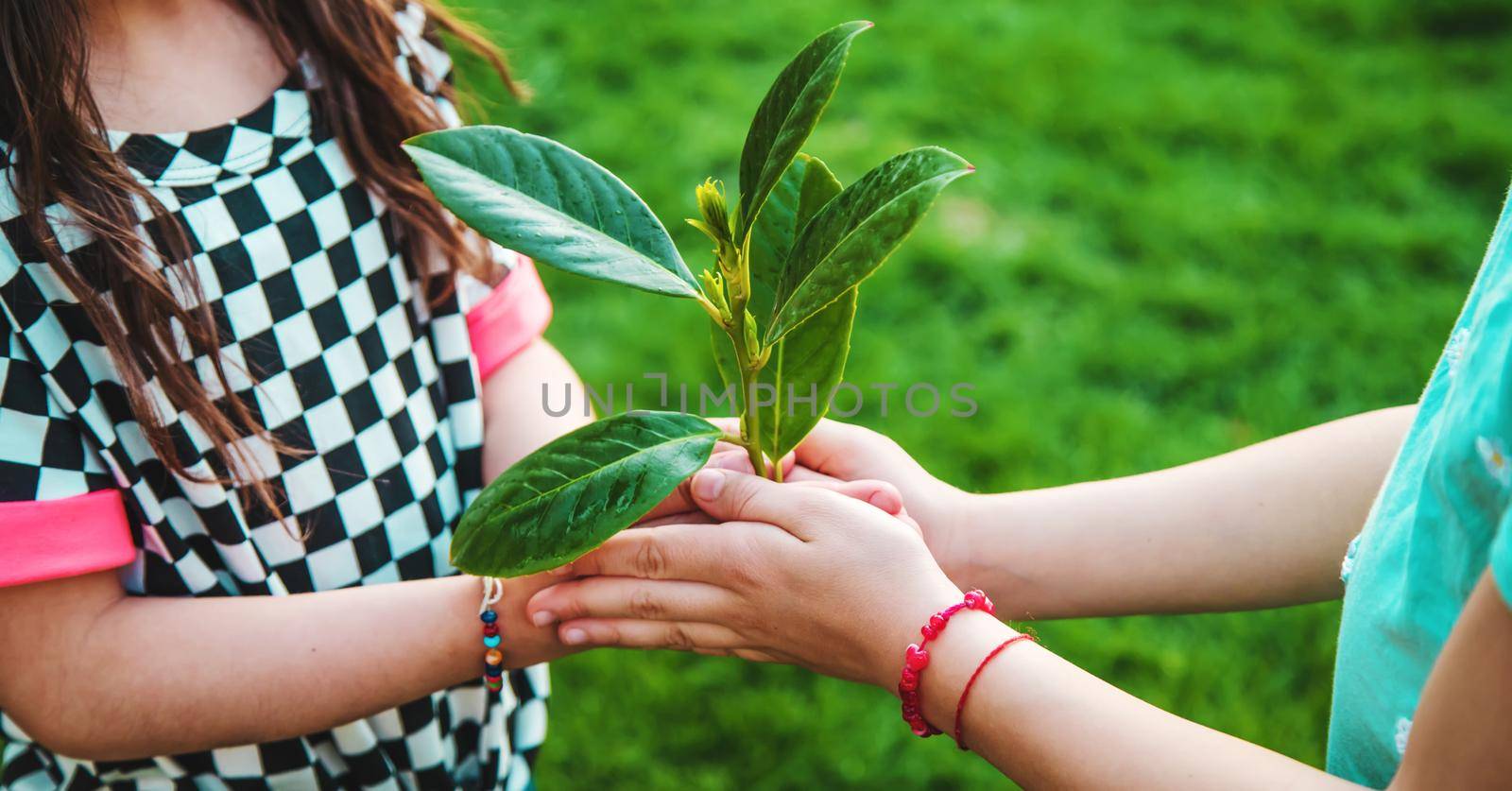 Children take care of nature tree in their hands. Selective focus. Kid.