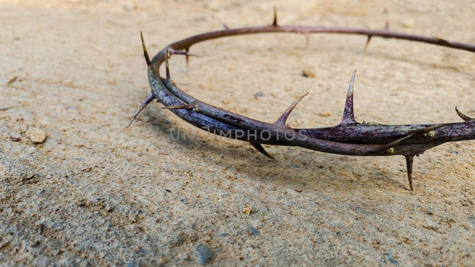 The crown of thorns of Jesus. Copy space and Easter concept