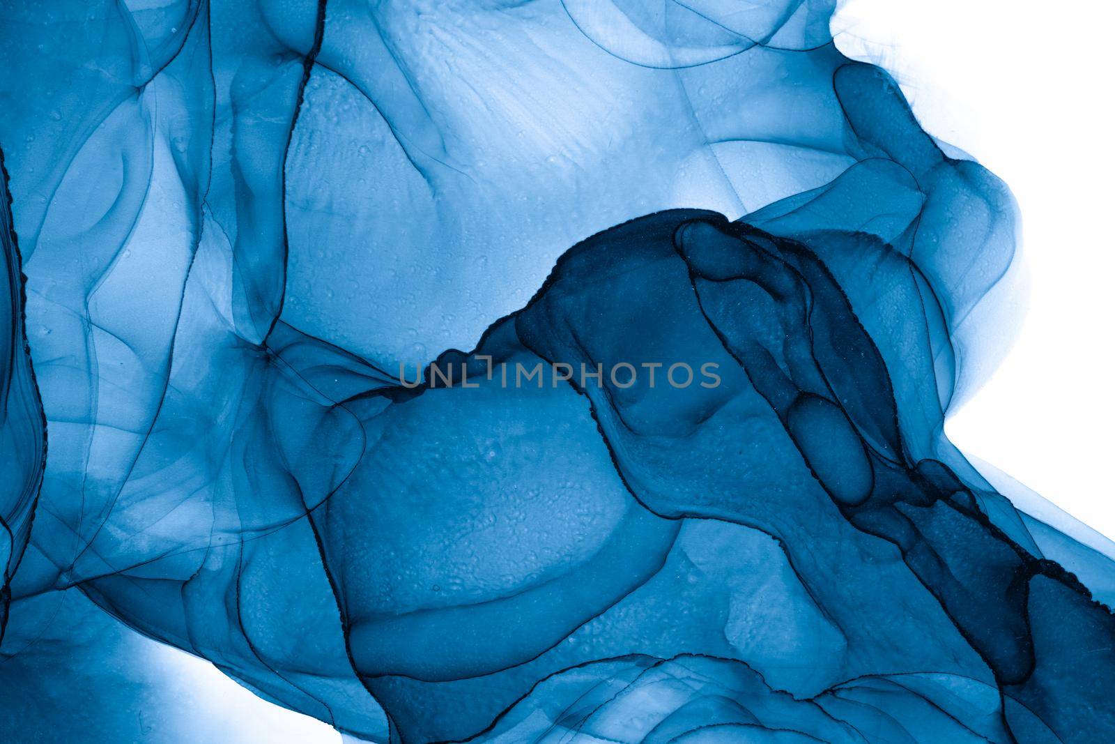 Marble ink abstract art from exquisite original painting for abstract background . Painting was painted on high quality paper texture to create smooth marble background pattern of ombre alcohol ink .