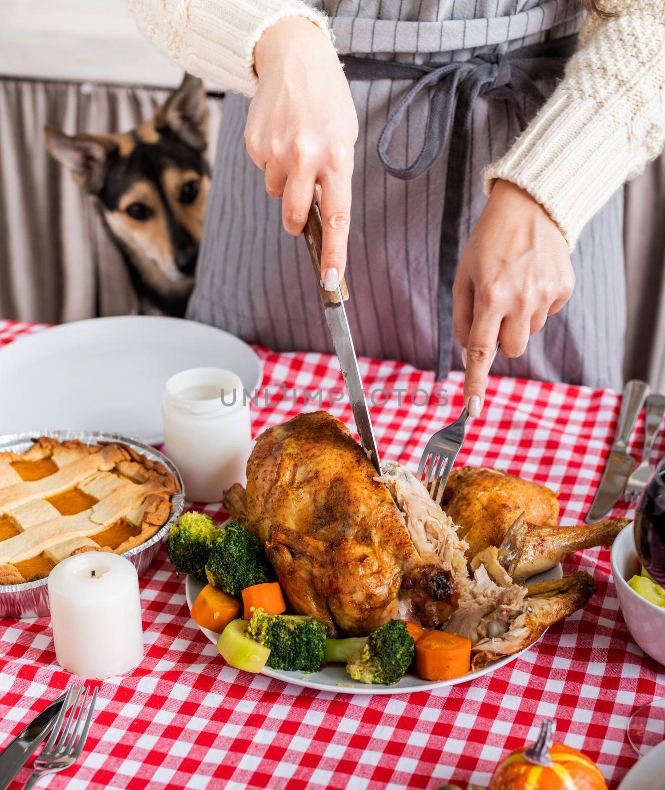 woman preparing thanksgiving dinner at home kitchen, dog looking at table from behind by Desperada