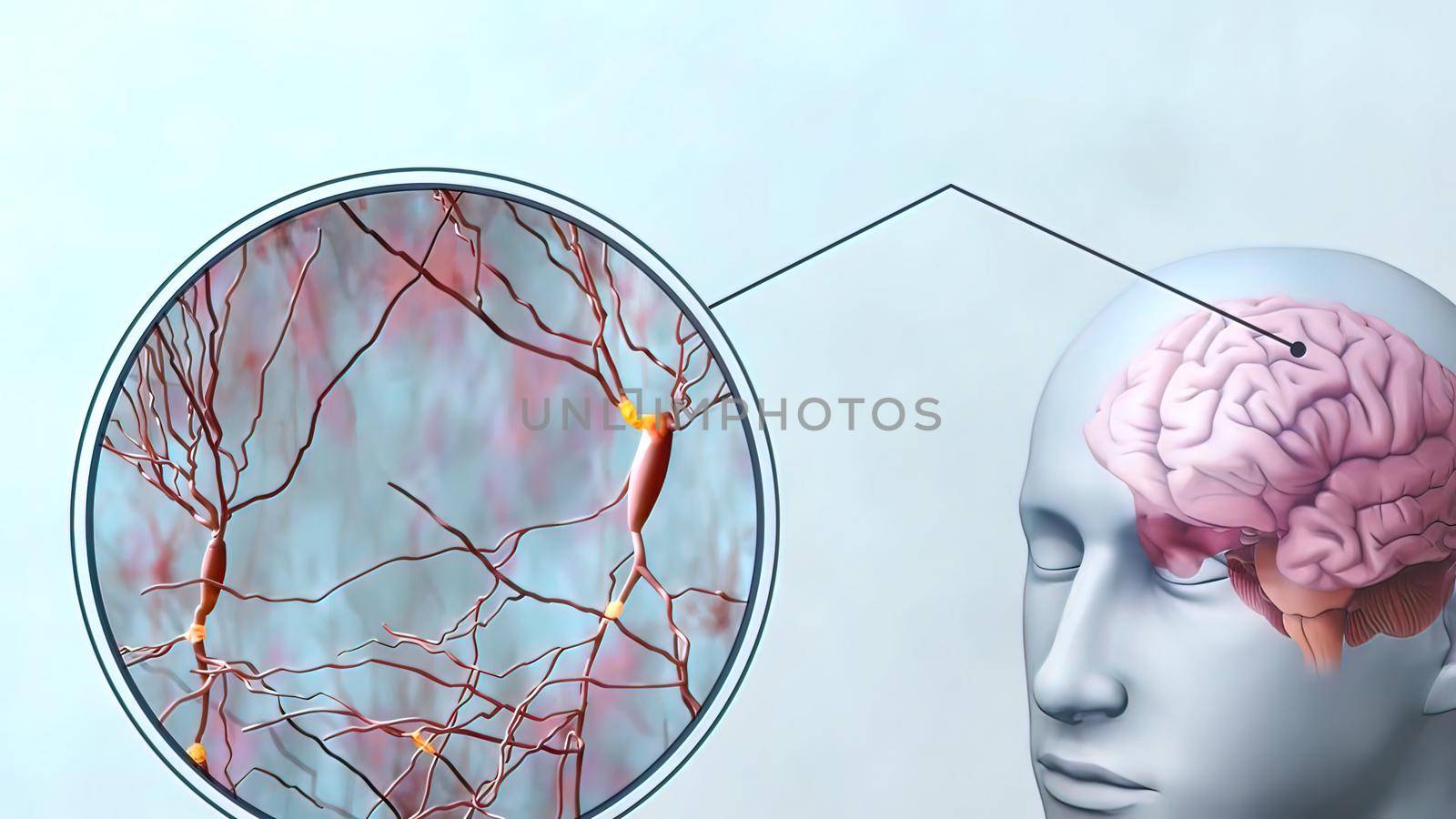 Neurons (also called neurones or nerve cells) are the fundamental units of the brain and nervous system, 3d illustration