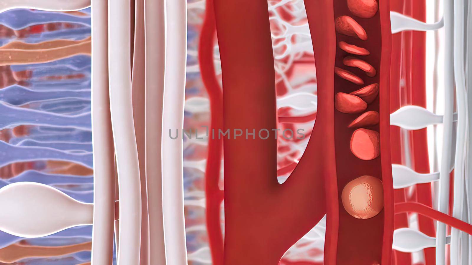 New Vascular Growth in the Retina by creativepic