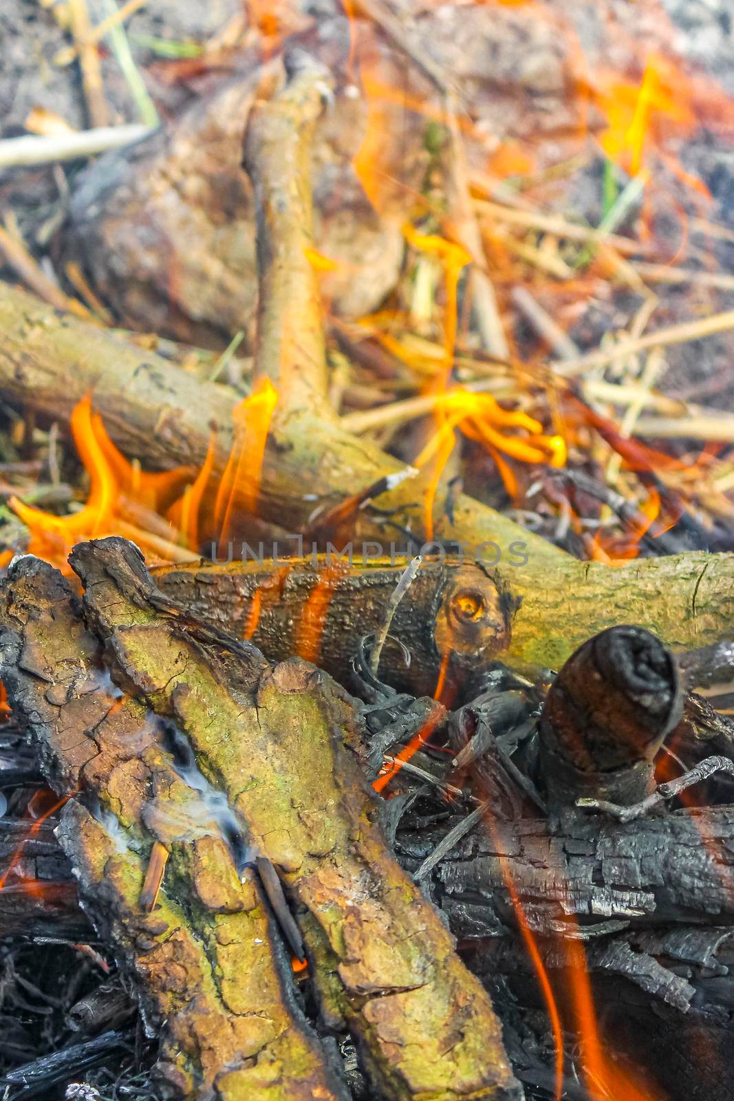 Campfire and burning wood with orange flames on the Harrier Sand island in Schwanewede Osterholz Lower Saxony Germany.