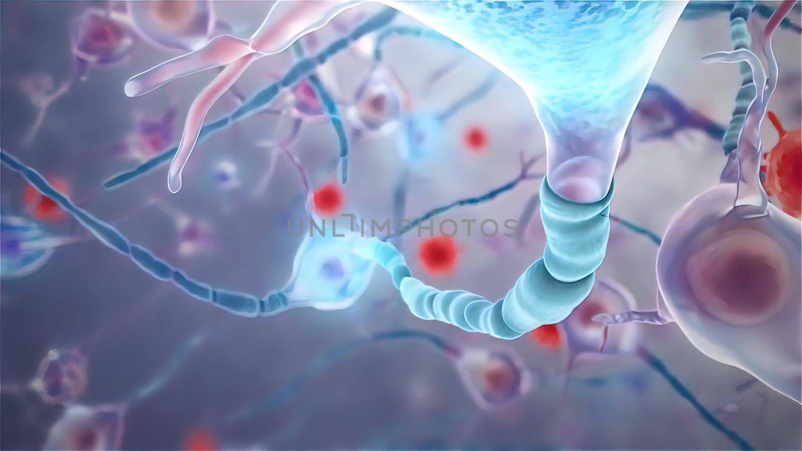 Neural transmission. Neuron receiving and transmitting an impulse 3d illustration