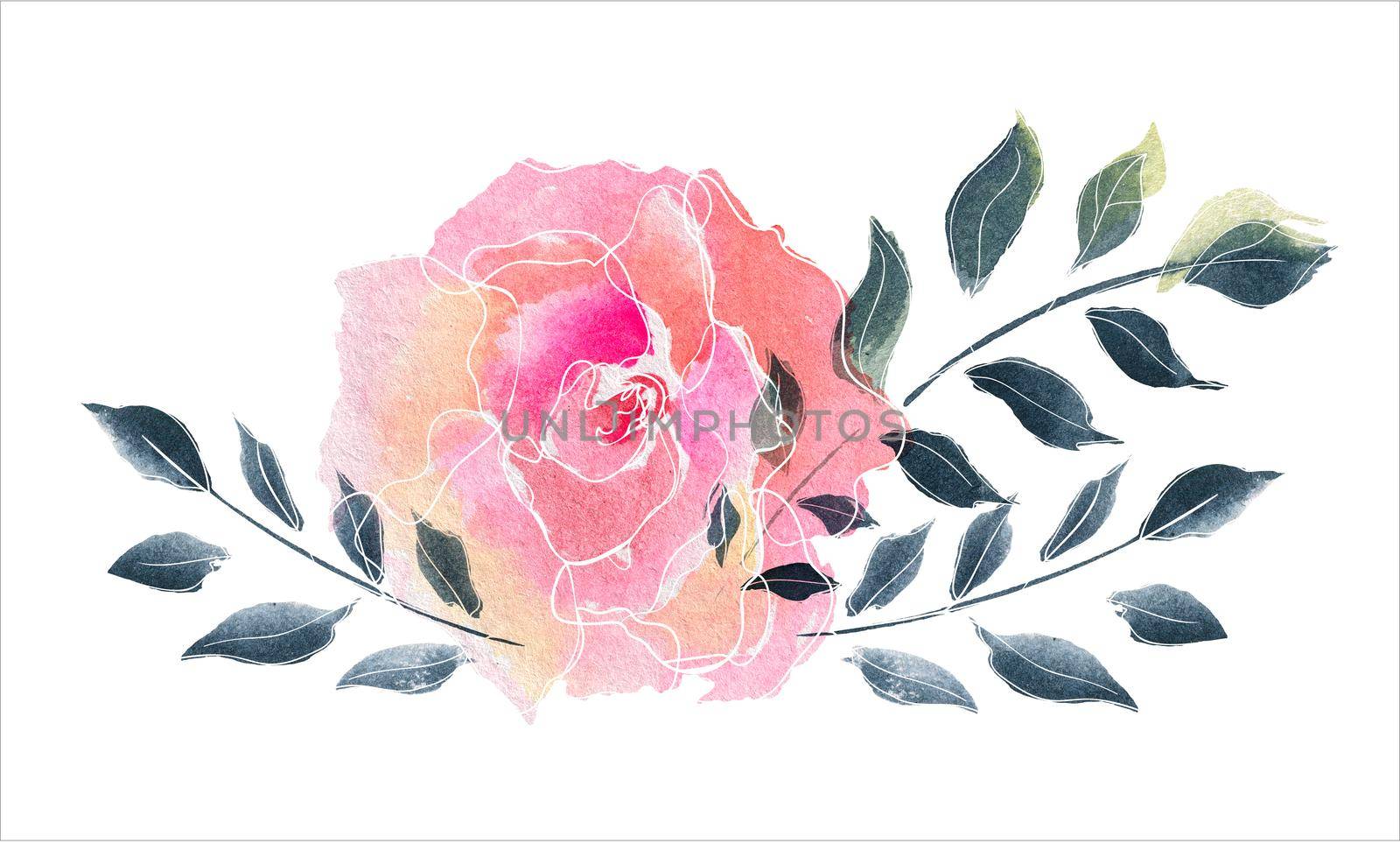Rose bouquet. Watercolor floral composition of rose flowers and branches