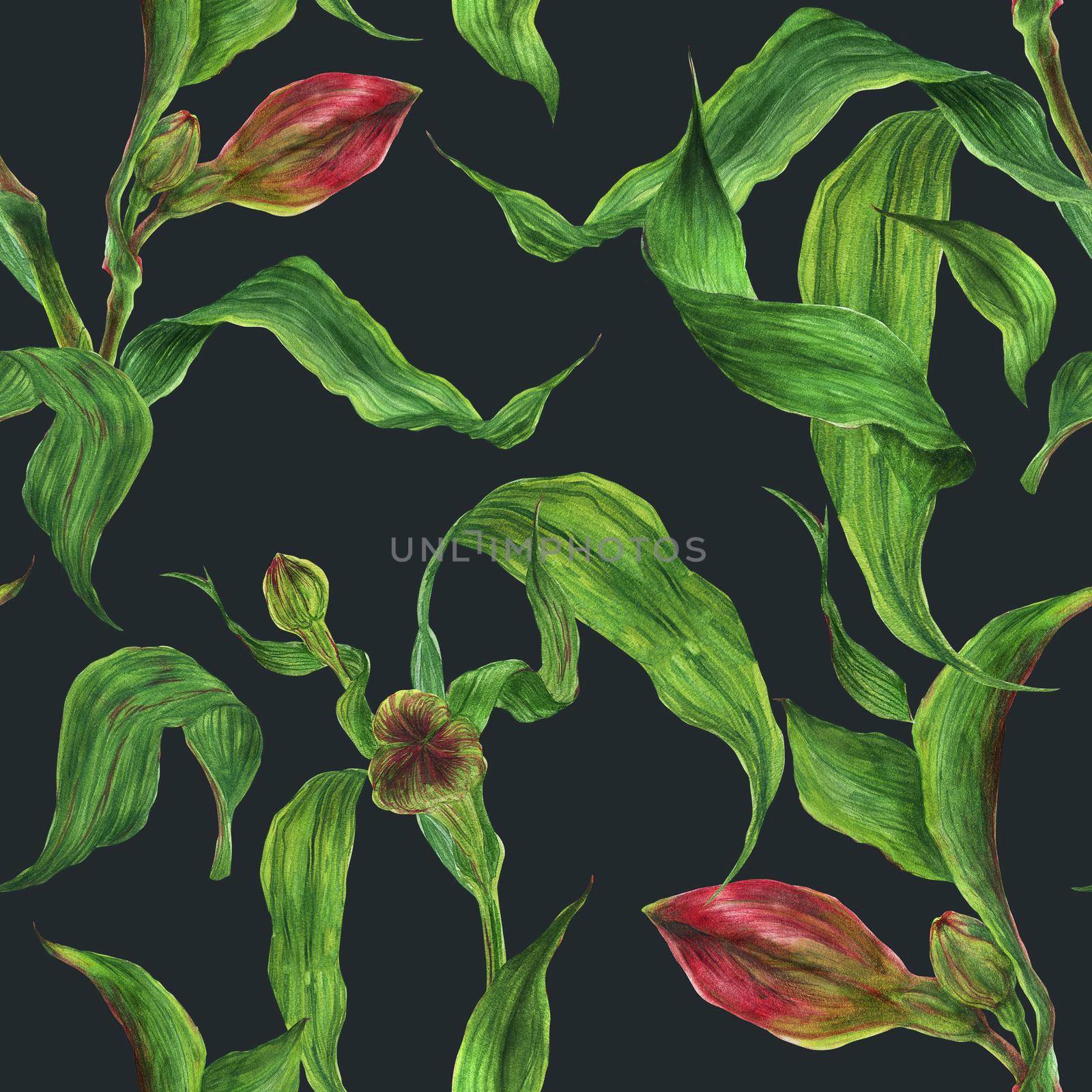 Watercolor seamless pattern with red alstroemeria buds and leaves on a dark background, botanical watercolor with clipping path