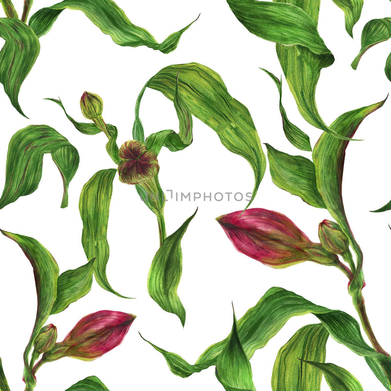 Watercolor bright seamless pattern with red alstroemeria buds and leaves by Xeniasnowstorm