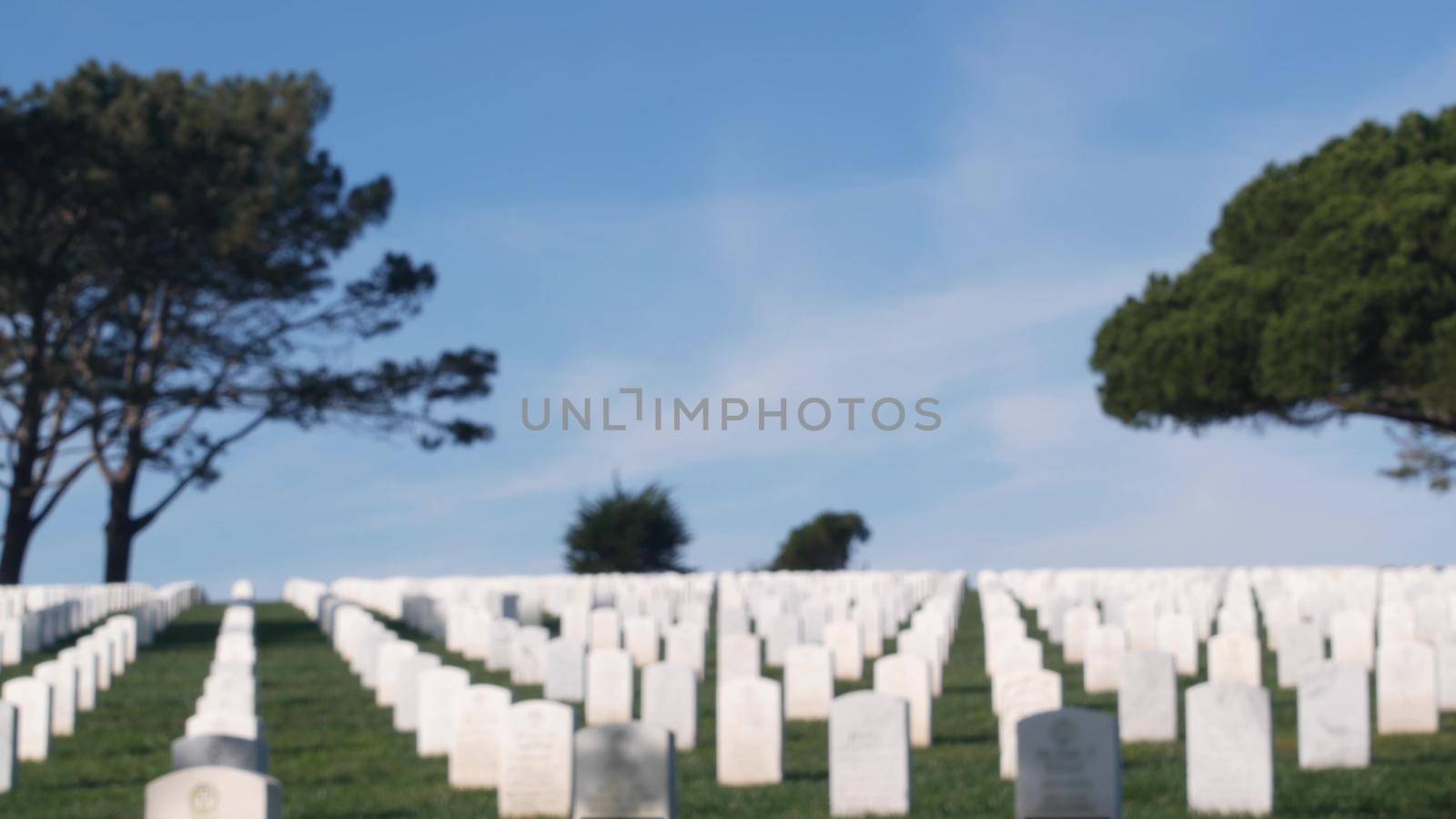 Defocused tombstones, american military national memorial cemetery, graveyard in USA. Headstones or gravestones, green grass. Respect and honor for armed forces soldiers. Veterans and Remembrance Day.