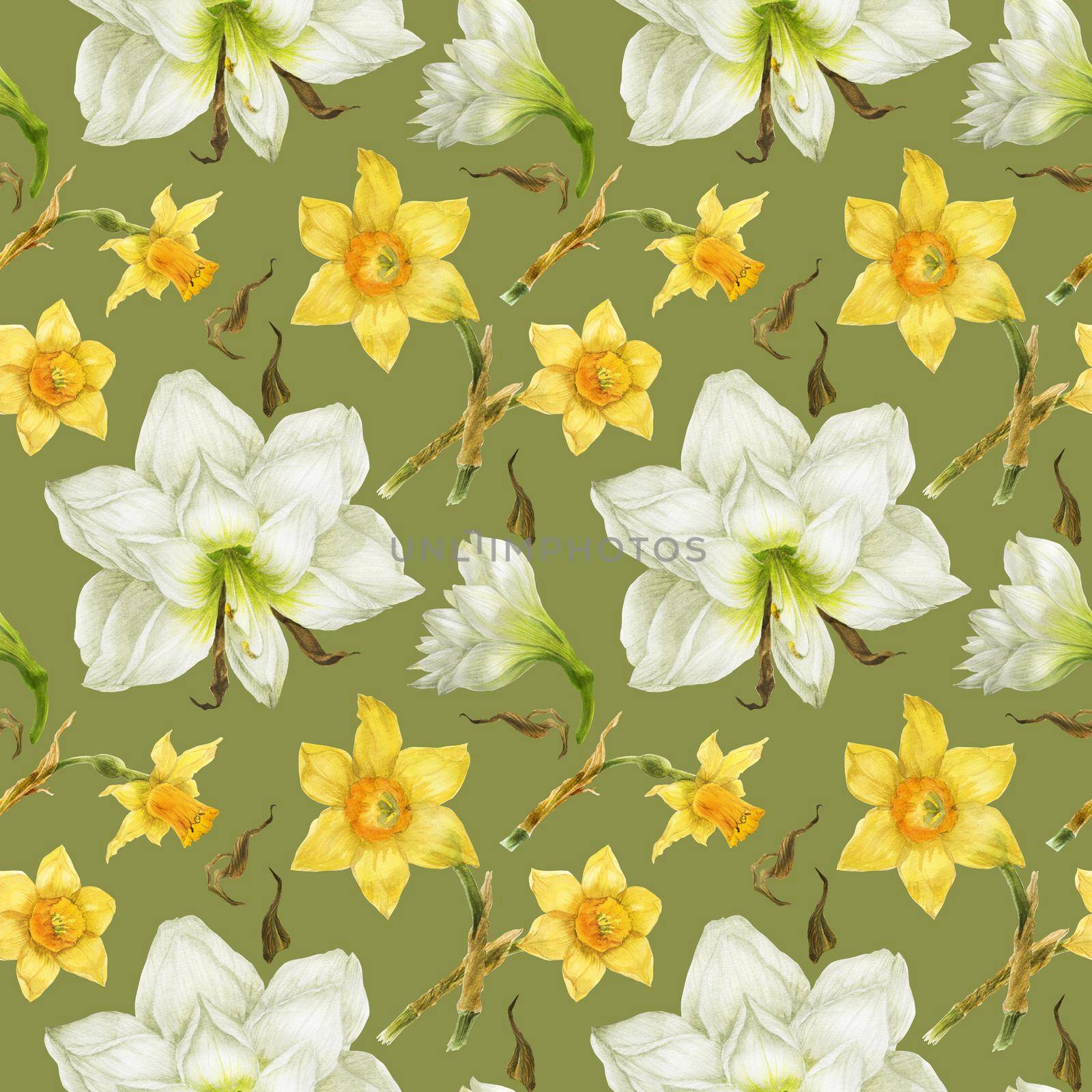 Watercolor white Hippeastrum and yellow daffodil green seamless pattern by Xeniasnowstorm