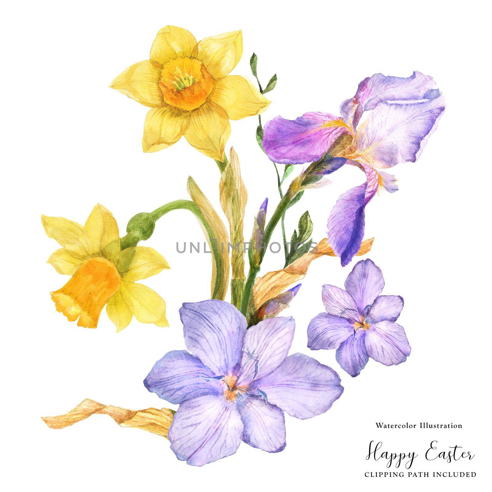 Decorative watercolor bouquet with spring flowers daffodil and iris and freesia on a white background, clipping path included