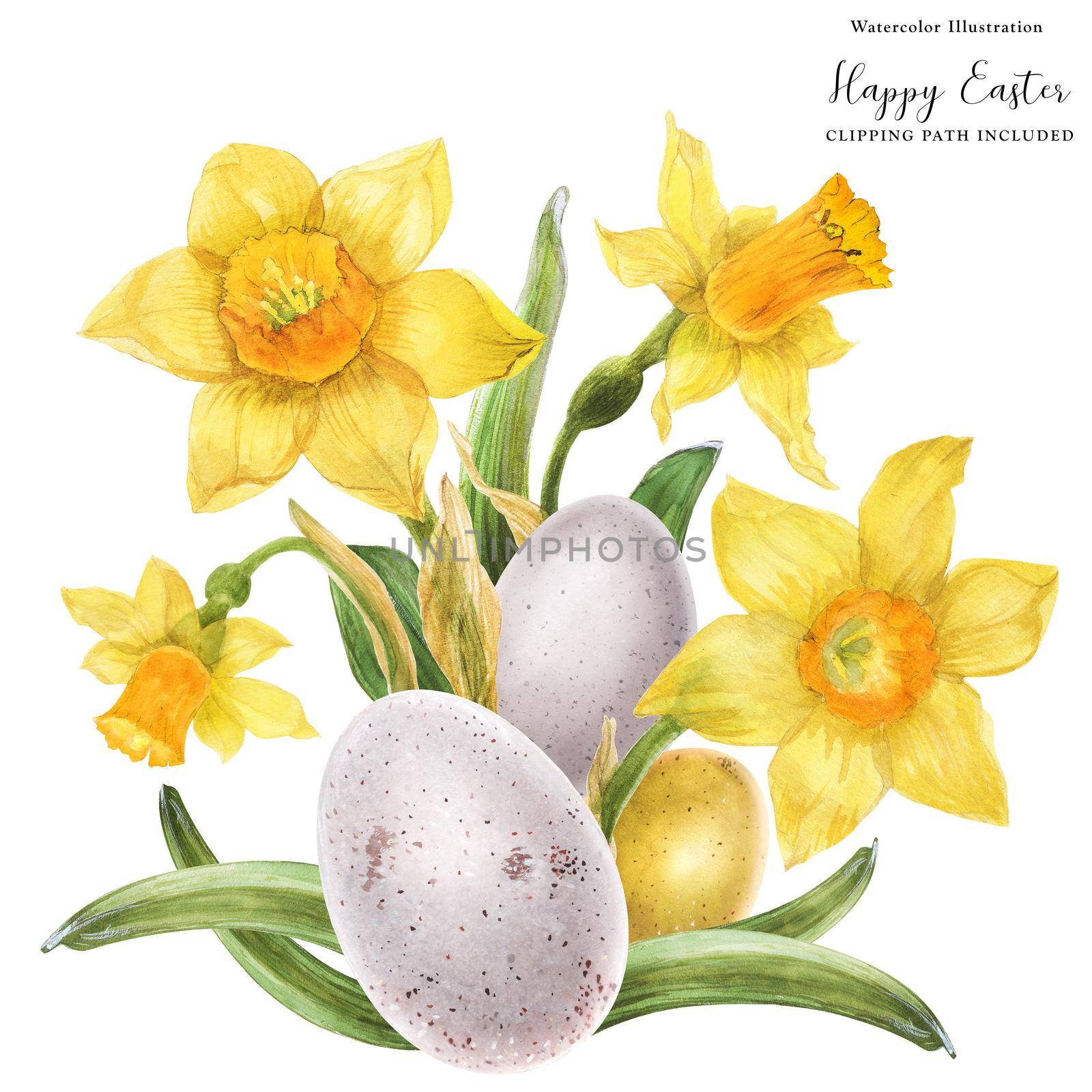 Daffodils and bird eggs watercolor Easter bouquet on a white background, clipping path included