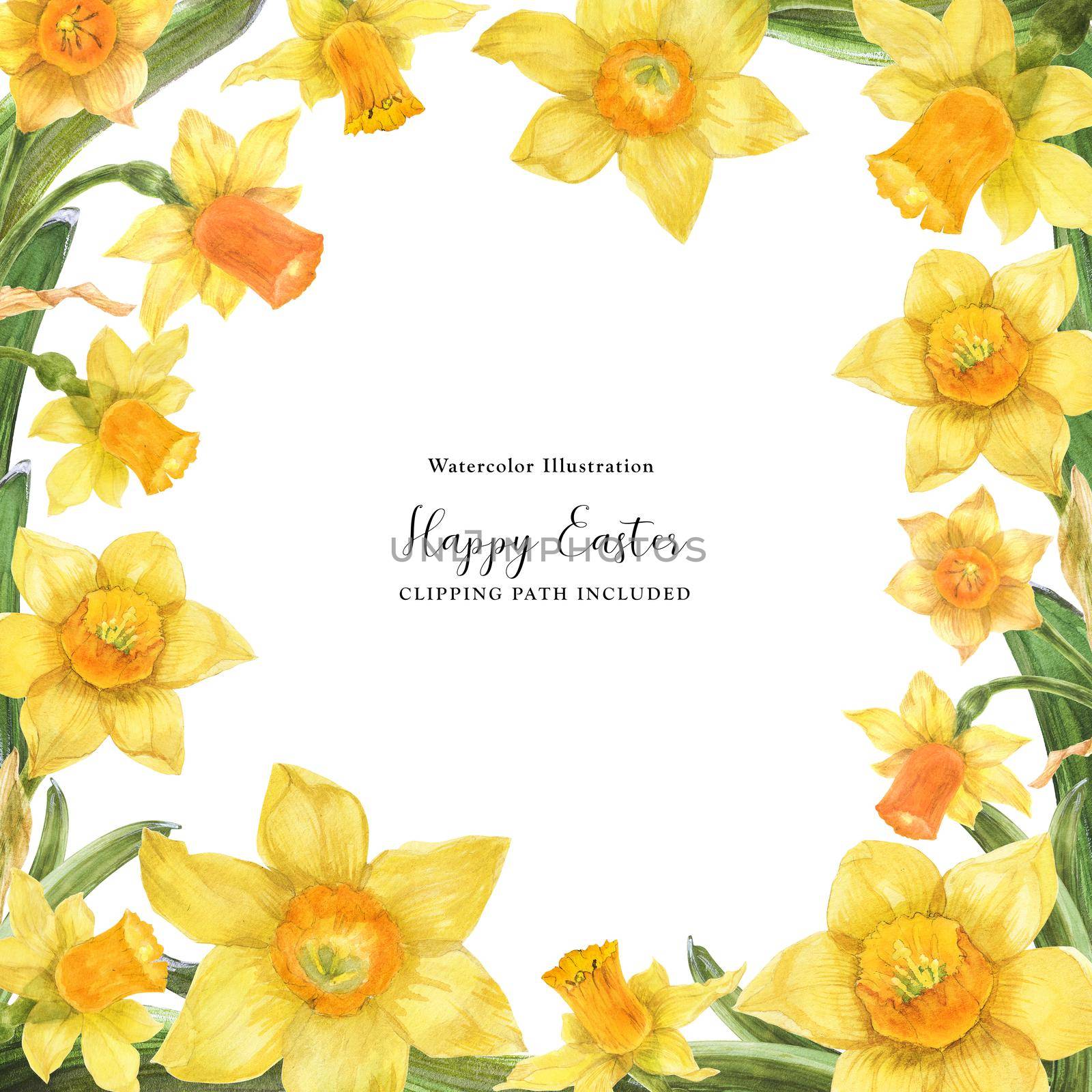 Daffodil watercolor spring floral frame on a white background, clipping path included