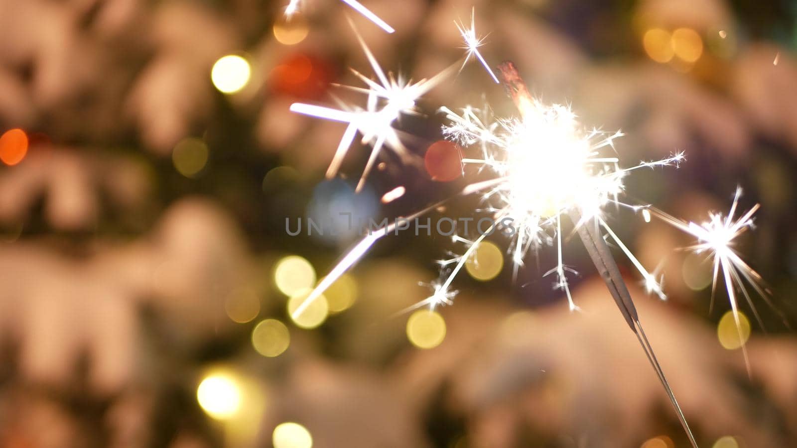 Sparkler firework burning, Christmas tree in snow, New Year or Xmas bengal light by DogoraSun