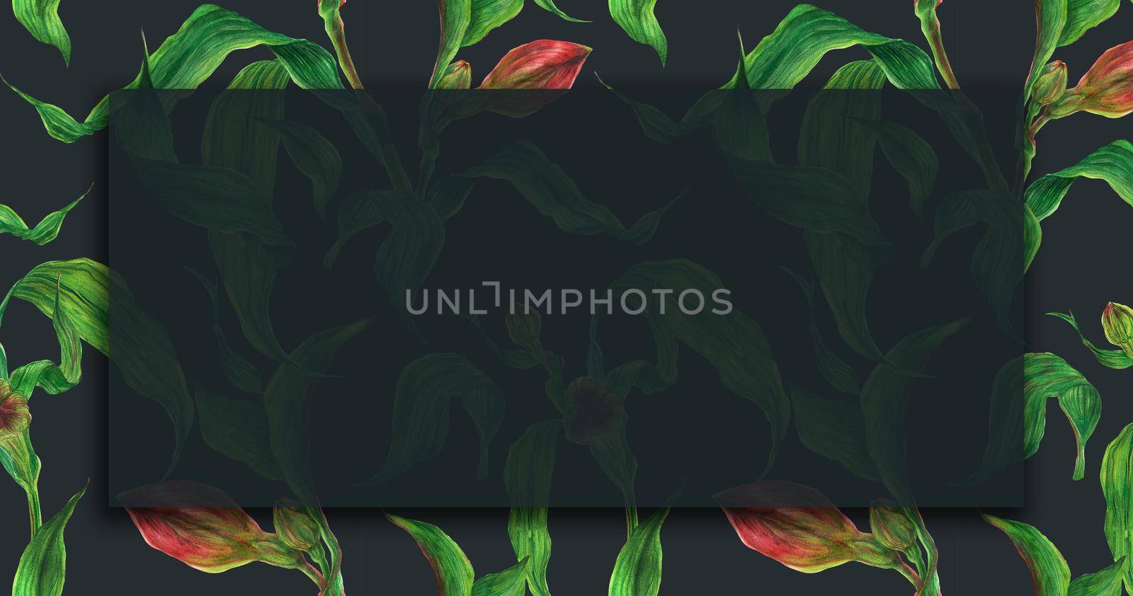 Floral landscape watercolor banner with red alstroemeria buds