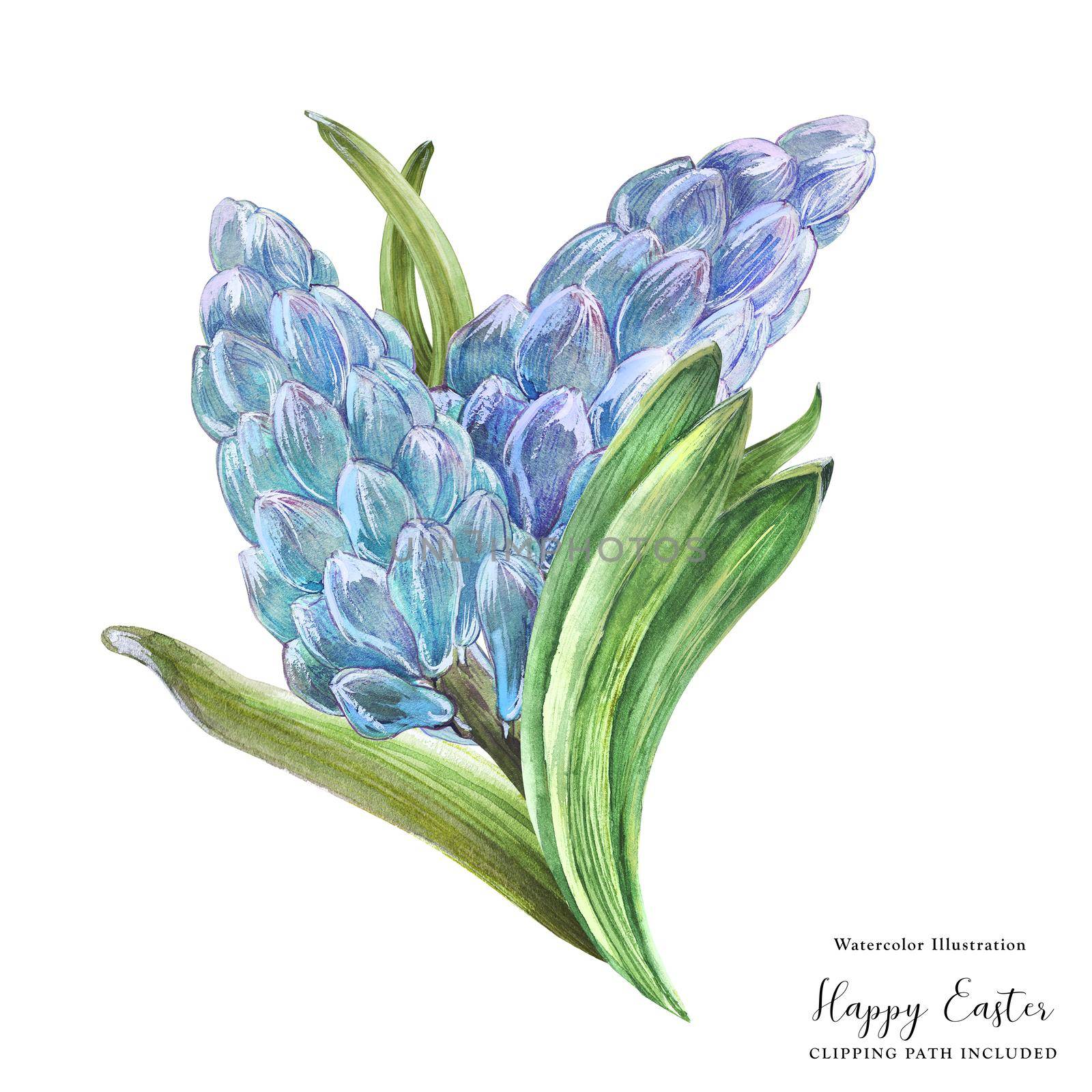 Hyachinth watercolor spring floral bouquet on a white background, clipping path included