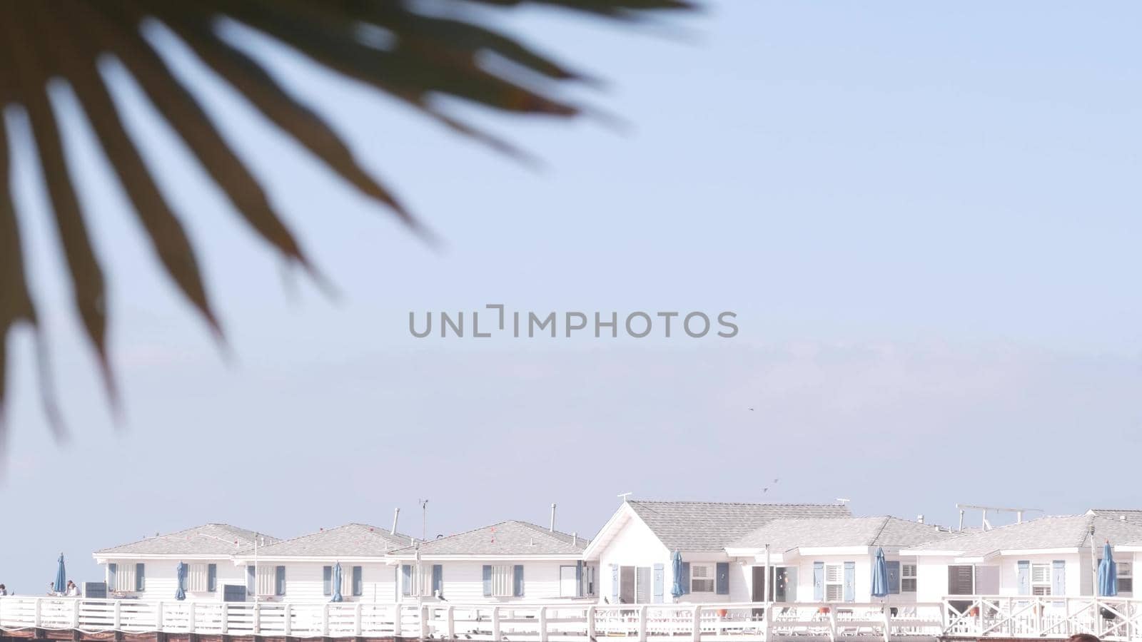Palm tree and wooden Crystal pier with cottages, California ocean beach, USA. by DogoraSun
