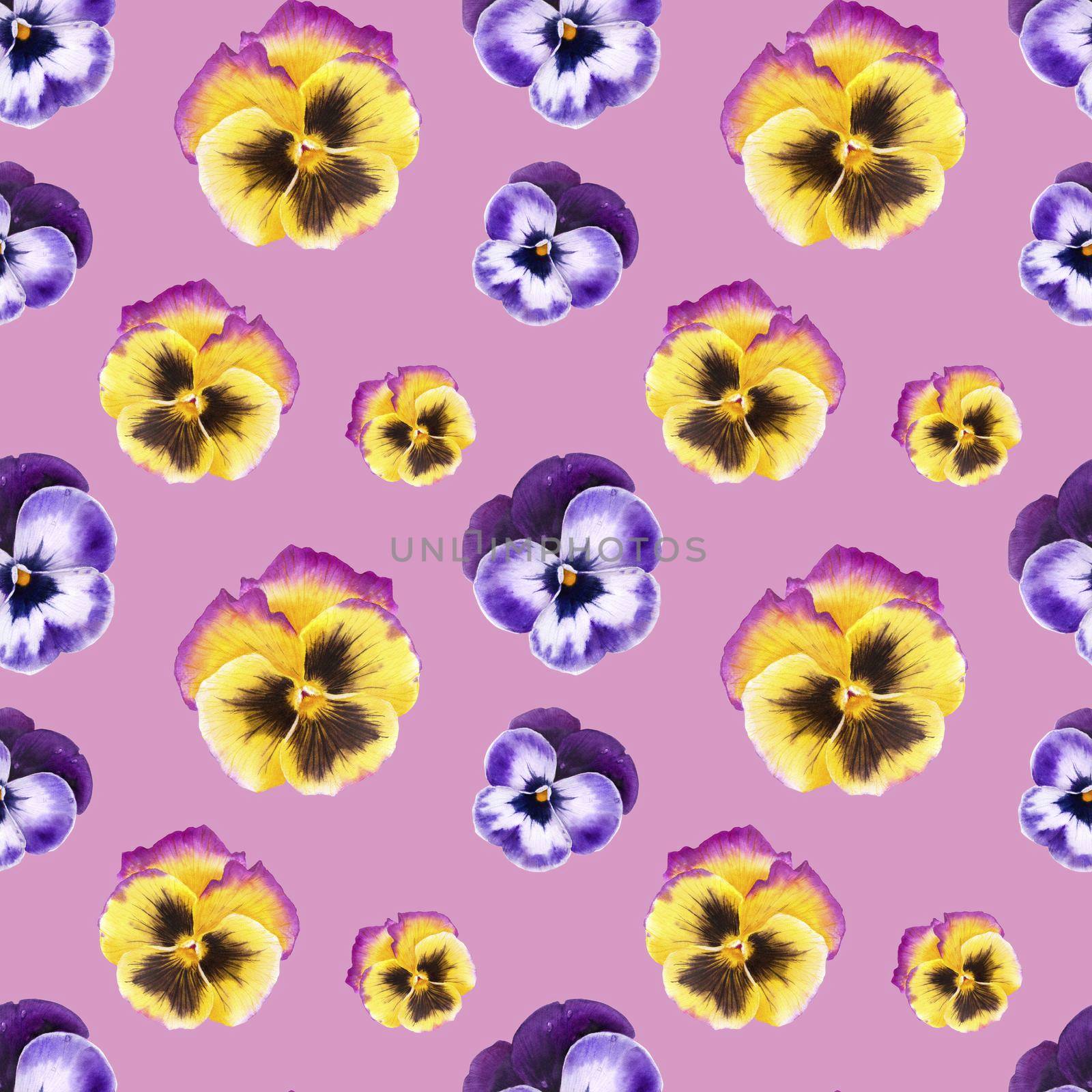 Blue and yellow pansy flowers watercolor seamless pattern on a pink background with clipping path