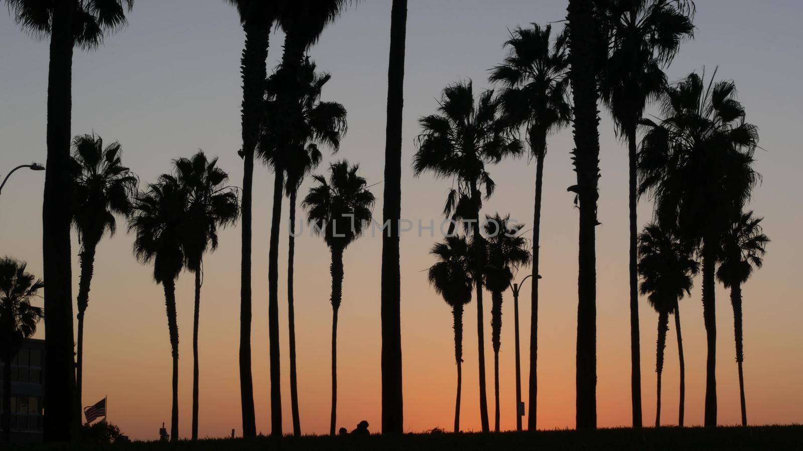 Silhouettes palm trees and people walk on beach at sunset, California coast, USA by DogoraSun