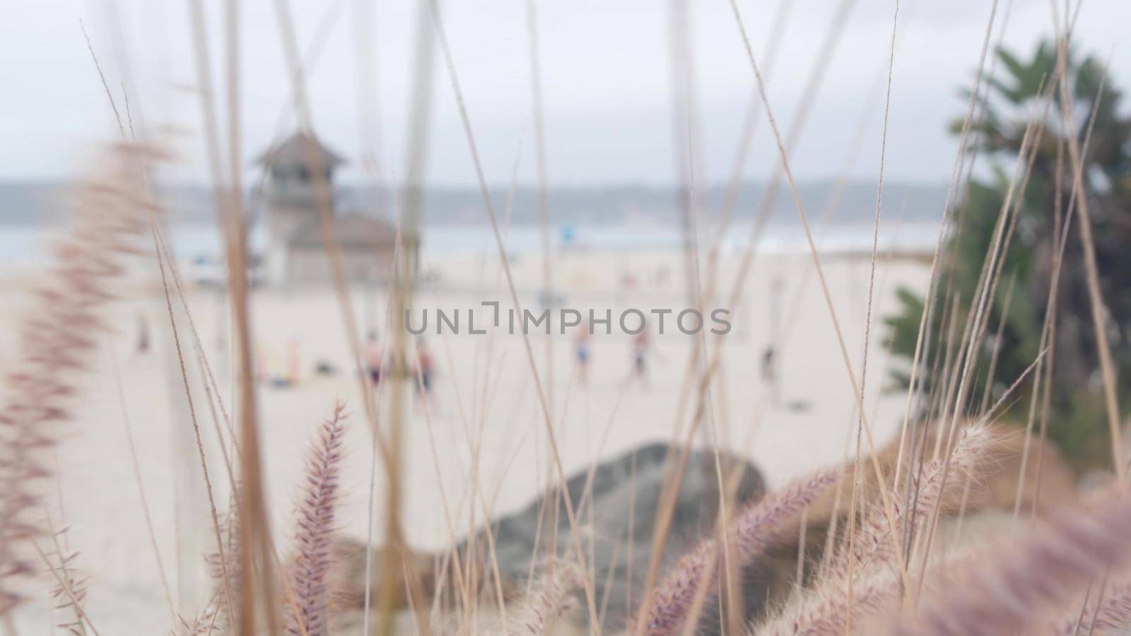 People playing volleyball on sandy ocean beach, California coast, USA. Lifeguard by DogoraSun