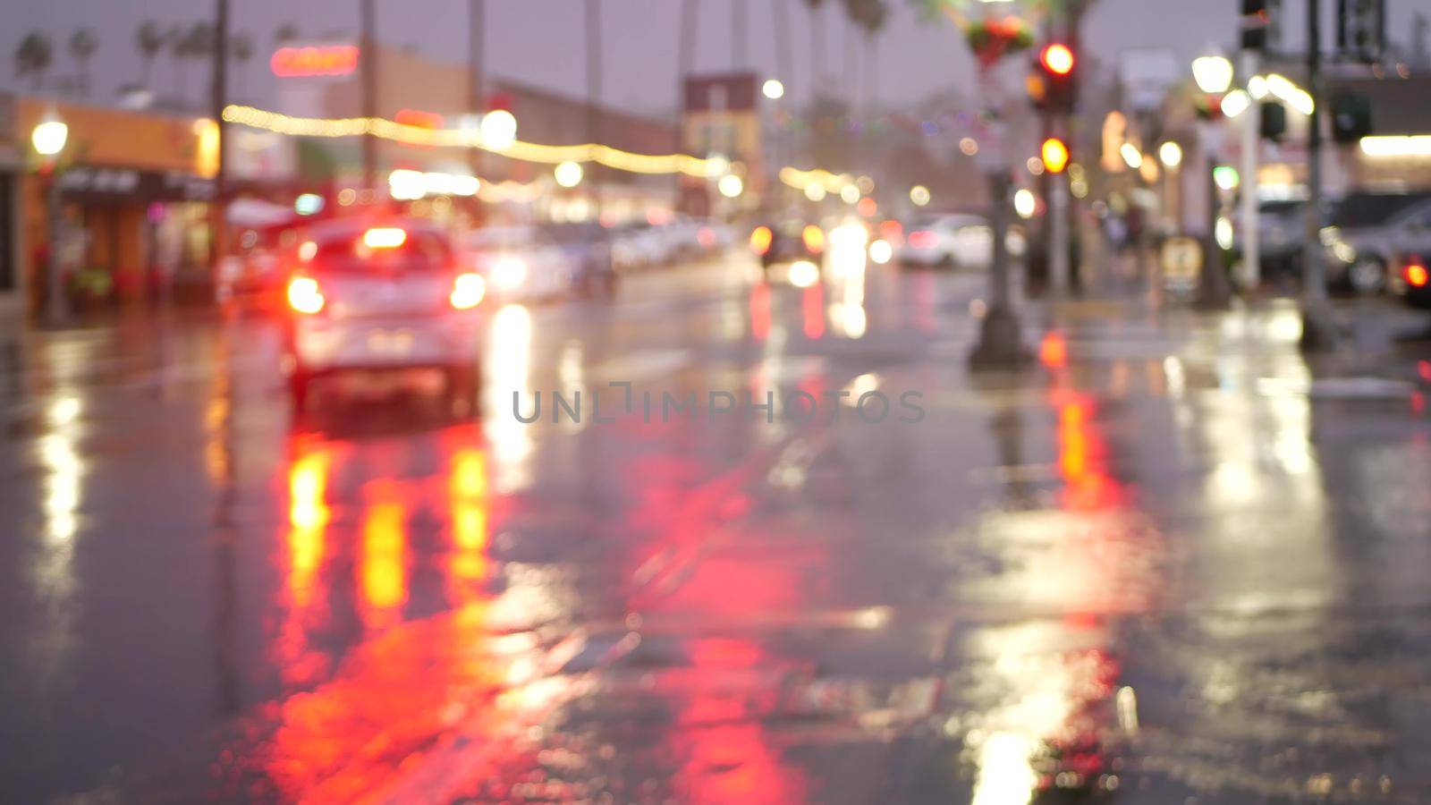 Lights reflection on road in rainy weather. Palm trees and rainfall, California. by DogoraSun
