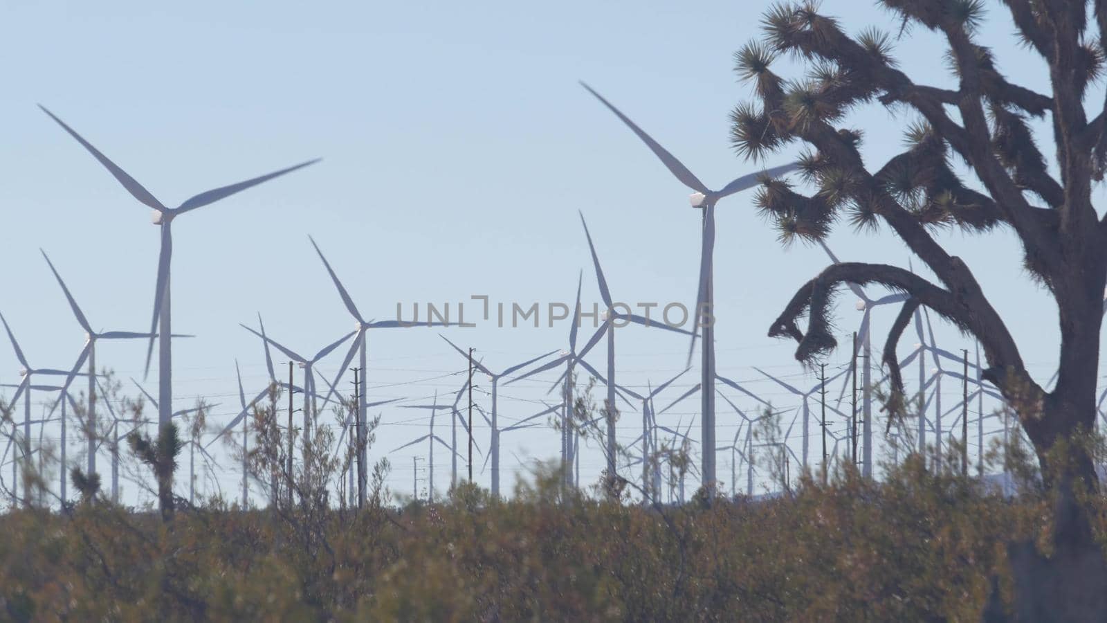 Windmills turbine rotating, wind farm or power plant, green renewable energy generators, industrial field in California, Mojave desert, USA. Electricity generation on windfarm. Yucca joshua tree.