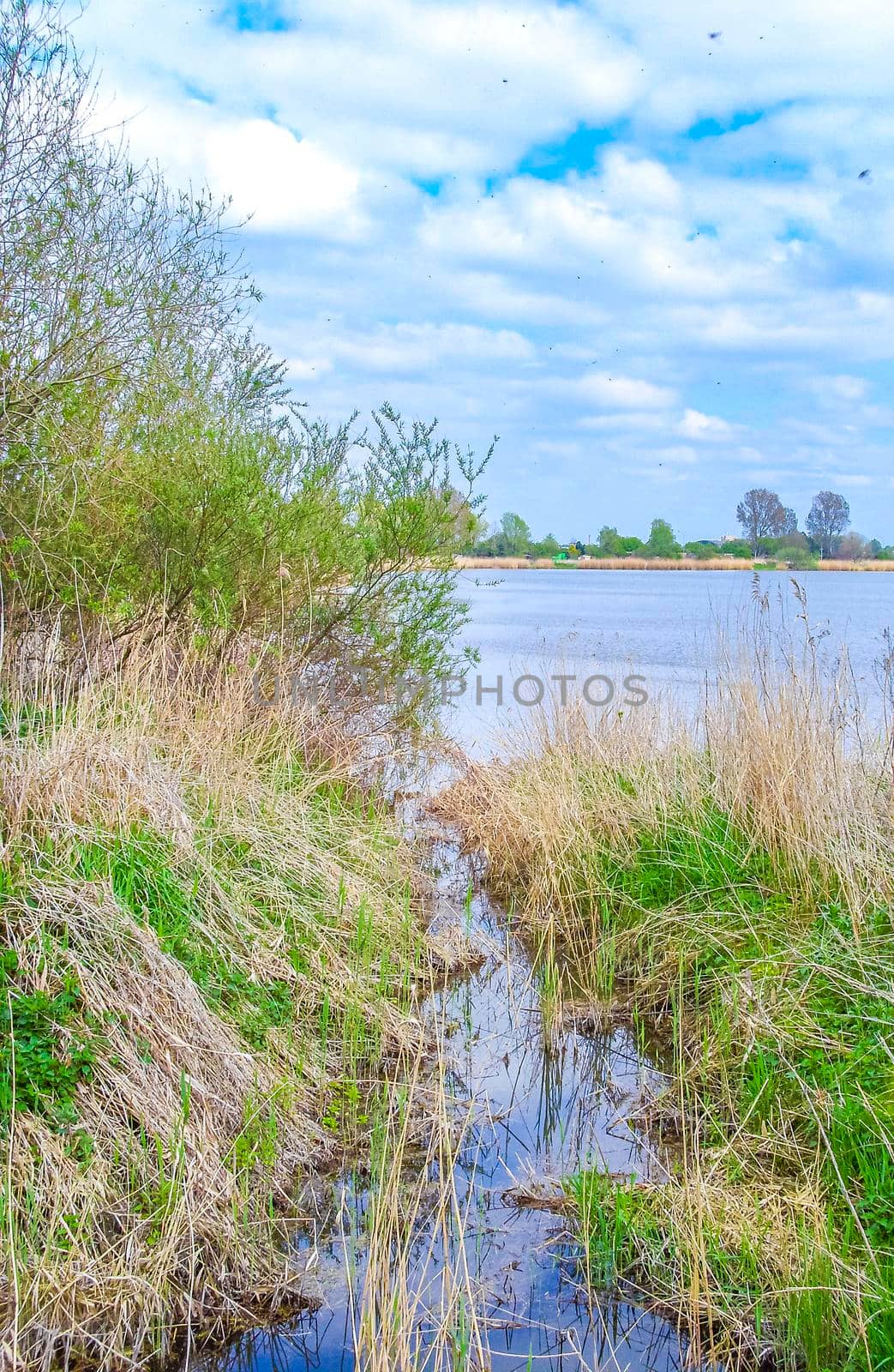 Natural beautiful panorama view with moor water lake river sea coast and green plants trees in the forest of Bremerhaven Germany.