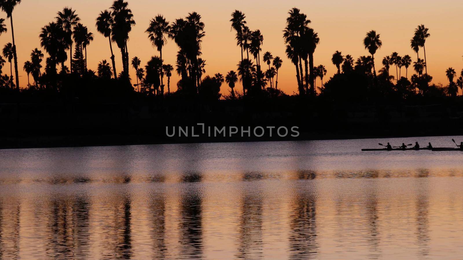 Palm trees on sunset ocean beach, California coast, USA. People kayaking. by DogoraSun