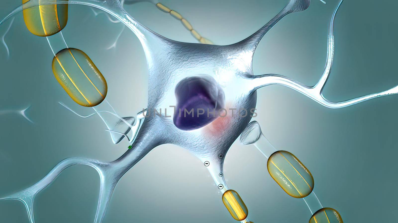 A neuron generates an electrical impulse, causing the cell to release its neurotransmitters . 3d illustration