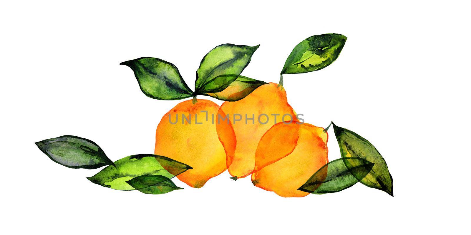 Fresh lemon fruits bouquet by watercolor. Cute decor for home and cafe textiles, for packaging decor and menu